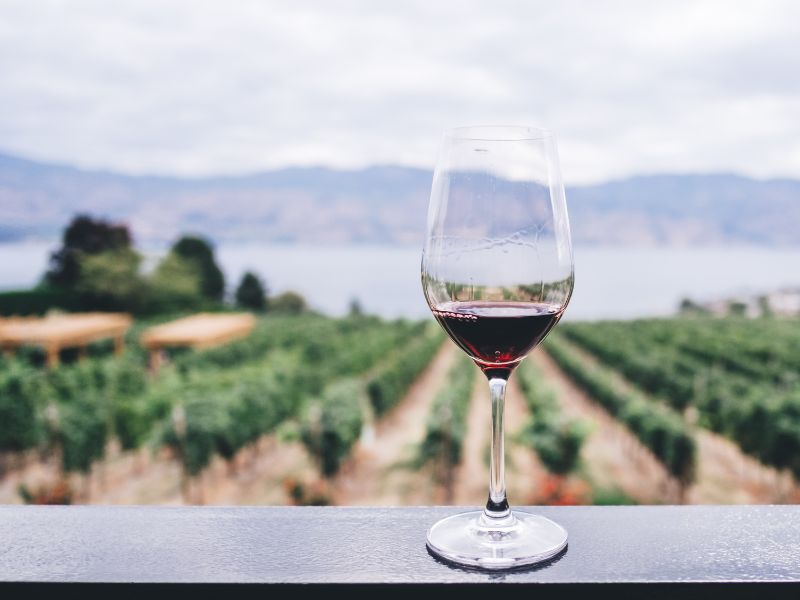 Vin LVMH et droits de douane
